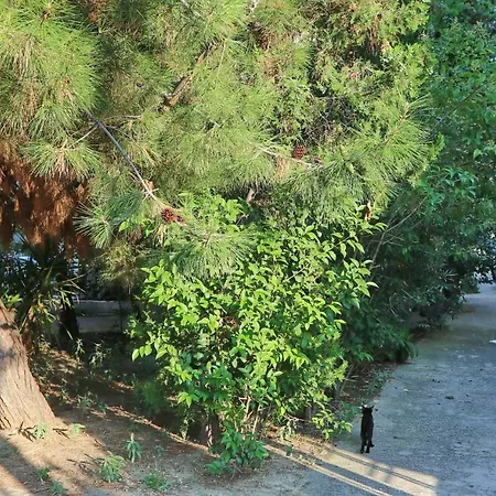 Appartement Elena 2 Kavala